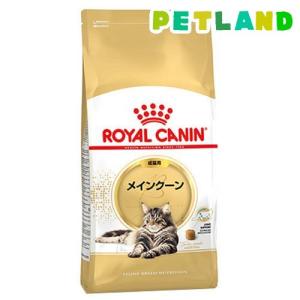 ロイヤルカナン フィーライン ブリード ニュートリション メインクーン 成猫用 ( 2kg )/ ロイヤルカナン(ROYAL CANIN) ( キャットフード )