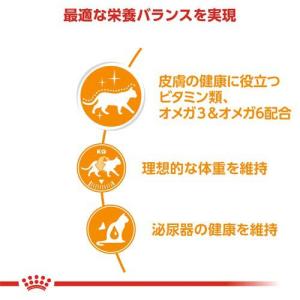 ロイヤルカナン フィーライン ケア ニュートリ...の詳細画像1