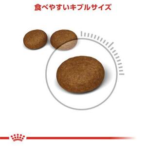 ロイヤルカナン フィーライン ケア ニュートリ...の詳細画像2