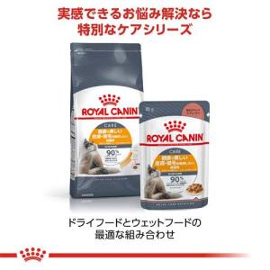 ロイヤルカナン フィーライン ケア ニュートリ...の詳細画像3
