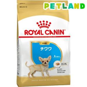 ニュートロ シュプレモ 子犬用 トレイ ウェットフード ドッグフード