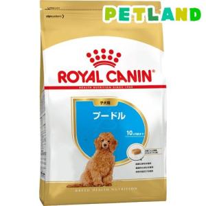 ロイヤルカナン ブリード ヘルス ニュートリション プードル中・高齢犬