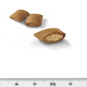 ロイヤルカナン フィーライン ヘルス ニュート...の詳細画像1