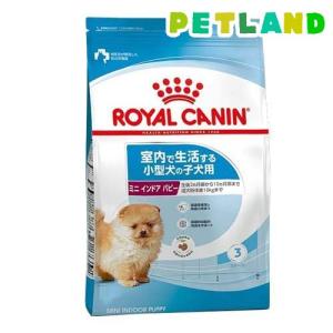 ORIJEN（オリジン） パピー 2kg (正規品) 幼犬用 総合栄養食