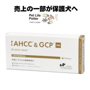 ペット用AHCC イムノブロン (ソフトカプセル) 480粒(120粒×4袋入) 全国