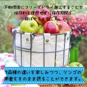 【売上の一部が保護犬へ】ドットわん フリーズド...の詳細画像2