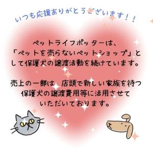【売上の一部が保護犬へ】ドットわん フリーズド...の詳細画像5