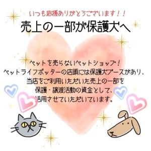 【売上の一部が保護犬へ】フォルツァ10 DOG...の詳細画像2