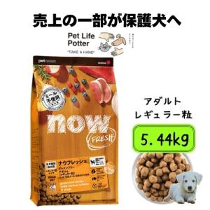 NOW FRESH 【正規品】ナウフレッシュ グレインフリー スモールブリード