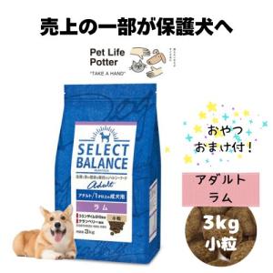 SELECT BALANCE 【おやつおまけ付！】セレクトバランス パピー チキン