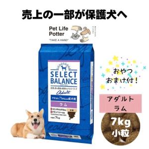 SELECT BALANCE 【おやつおまけ付！】セレクトバランス パピー チキン