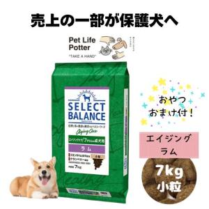 SELECT BALANCE 【おやつおまけ付！】セレクトバランス パピー チキン
