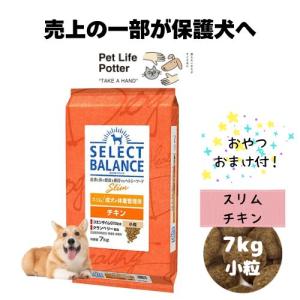 エイジングチキン小粒7kg×2個 楽天市場】ちょびチキ 6kg 500g×12 ニチレイ 冷凍 食品 業務用 唐揚げ その他
