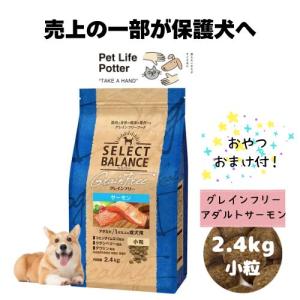 SELECT BALANCE 【おやつおまけ付！】セレクトバランス パピー チキン