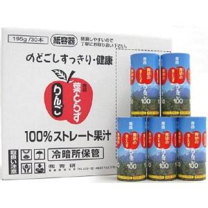 青研 葉とらずりんごジュース 1L 12本 青森 リンゴジュース パック
