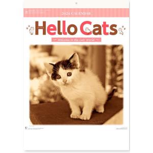 ハローキャッツ Hello Cats　かわいい 子猫 壁掛け カレンダー 2024　令和6年 ペット カレンダー　ねこ ネコ　癒し　モフモフ　｜petmania