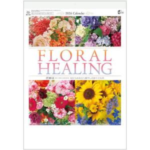 鉄緑会 中1 英語基礎講座BASIC 第1部 テキスト/問題集 2024 計2冊