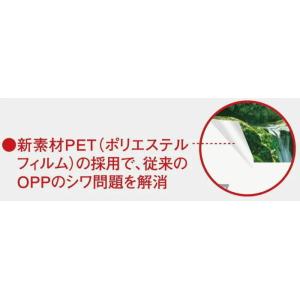 カレンダー 2026 壁掛け (フィルム)世界...の詳細画像4
