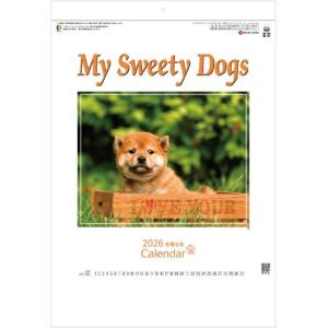 カレンダー 2026年 壁掛け マイスウィーティードッグ SG162 2026 犬