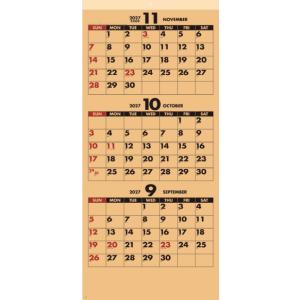 予約商品】最強ジャンプ 2026年 10月号 付録付き : サンアンド
