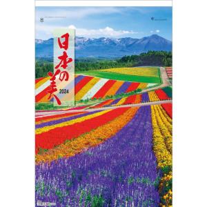 2026年版・壁掛】 全協 フィルム 世界の美 TD-566 ハンズ : ハンズ