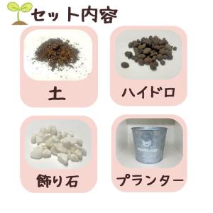 プランター葬 セット 愛ペット小さなふれあいガ...の詳細画像1
