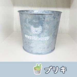 プランター葬 セット 愛ペット小さなふれあいガ...の詳細画像5