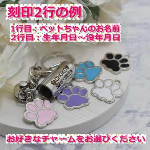 刻印2行無料 チャーム付 遺骨カプセル ペット...の詳細画像4