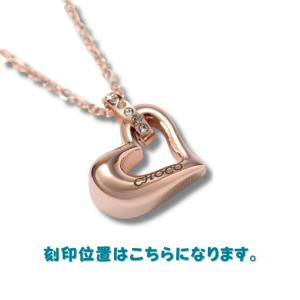 遺骨ペンダント 遺骨ネックレス アクセサリー ...の詳細画像1