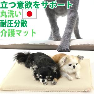 ペットライン ドクターズケア 犬 アミノプロテクトケア えんどう豆 3kg