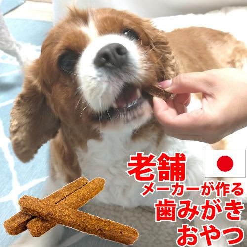 犬 歯磨きガム 無添加 国産 吉岡油糧 歯石  歯みがき スティック 3本入 オーラルケア ハミガキ...
