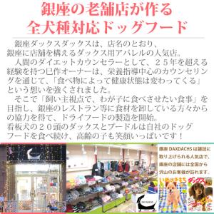 ドッグフード 国産 無添加 シニア 成犬 低カ...の詳細画像3