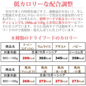 ドッグフード 国産 無添加 シニア 成犬 低カ...の詳細画像4