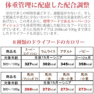 ドッグフード 国産 無添加 シニア 成犬 低カ...の詳細画像4