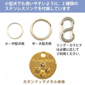 5大特典付 カタンドッグメタル ノミ ダニ を...の詳細画像5