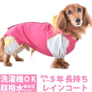 犬用コート Cloud7 クラウド7 Brooklyn Graphite ブルックリン防水