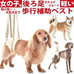 犬 介護用ハーネス 介護 歩行補助 ハーネス メッシュ アシスト ベスト 後ろ足 用 SS-S 小型犬 用  高齢犬 シニア 老犬 足腰 筋力 低下 サポート 立ち上がり