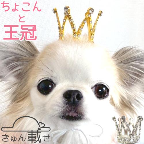 犬 猫 被り物 かぶりもの 王冠 クラウン きゅん載せ 帽子 ゴムひも アクセサリー 飾り 誕生日 ...