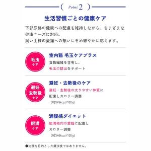 メディファス 室内猫 毛玉ケアプラス 1歳から...の詳細画像4