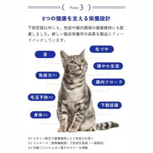 メディファス 室内猫 毛玉ケアプラス 1歳から...の詳細画像5
