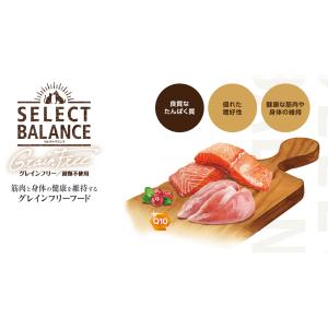 セレクトバランス グレインフリー 猫 エイジン...の詳細画像4