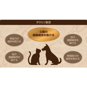 セレクトバランス グレインフリー 猫 エイジン...の詳細画像5