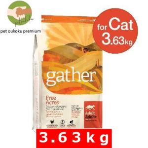 ボーナスストア10%！ ギャザー フリーエーカーキャット 3.63kg｜pet oukoku premium