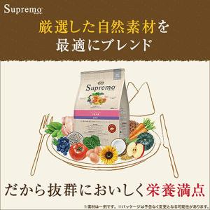 ニュートロ シュプレモ 子犬用 小粒 3kg ...の詳細画像2