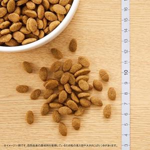 ニュートロ シュプレモ 小型犬 成犬用 3kg...の詳細画像1