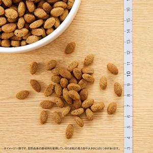 ニュートロ シュプレモ 超小型犬〜小型犬 エイ...の詳細画像1