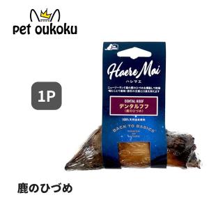 ボーナスストア10%！ ハレマエ デンタルフフ 1P 犬猫｜petoukoku