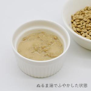 ヤムヤムヤム ドッグ 健康マネジメント腎臓 5...の詳細画像3