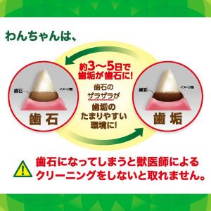 【公認店】グリニーズ プラス カロリーケア 超...の詳細画像3