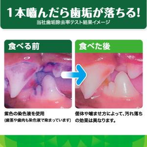 【公認店】グリニーズ プラス カロリーケア 超...の詳細画像5